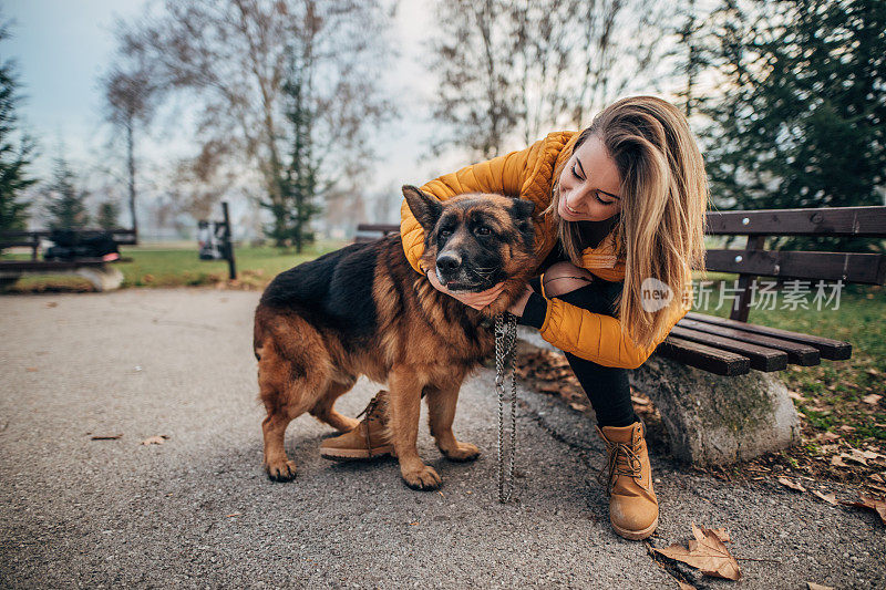 公园里有个年轻女人和一只德国牧羊犬