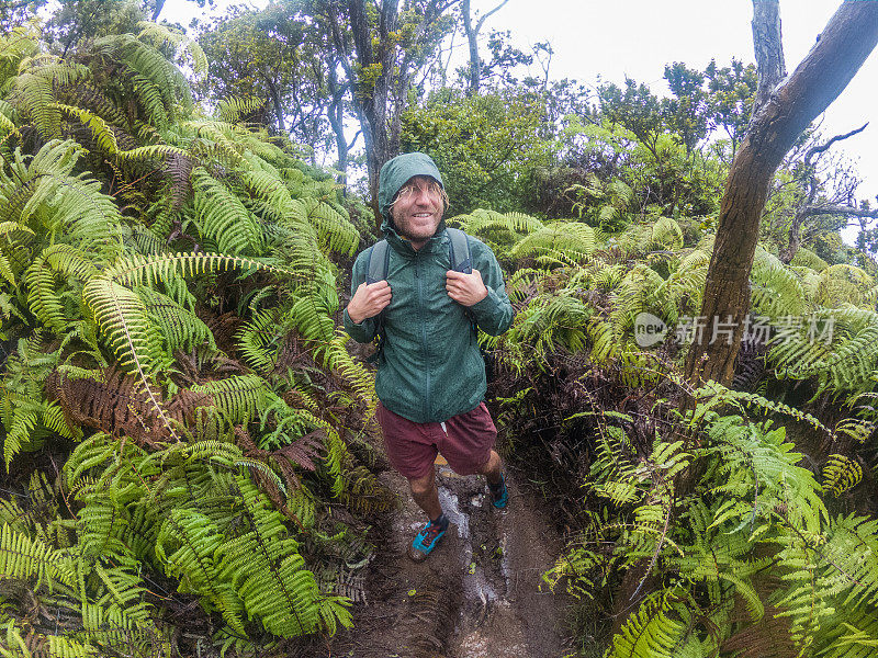 男子徒步旅行在夏威夷潮湿的雨林