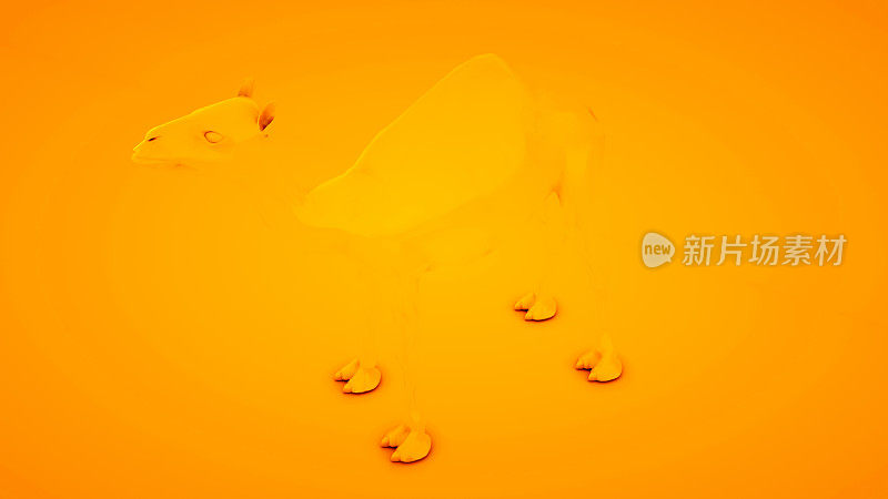 橙色背景上的骆驼。最小的理念概念，3d插图
