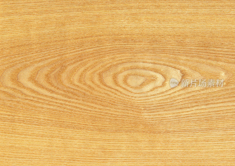 木材背景与树木年轮图案