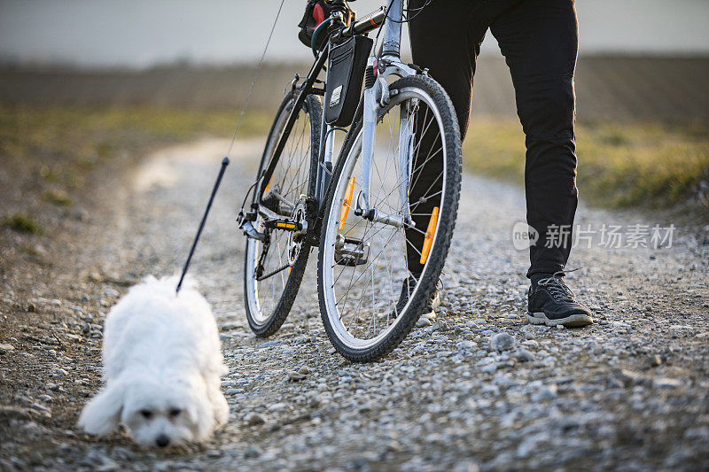 成年人骑自行车和他的狗在乡村道路上散步-股票照片