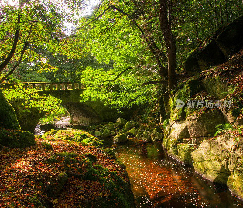 真实生活故事书场景