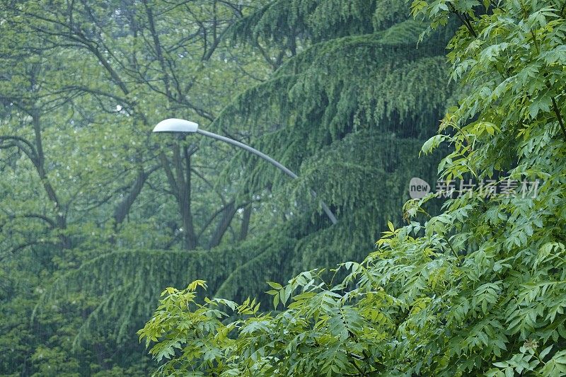 在下雨的一天