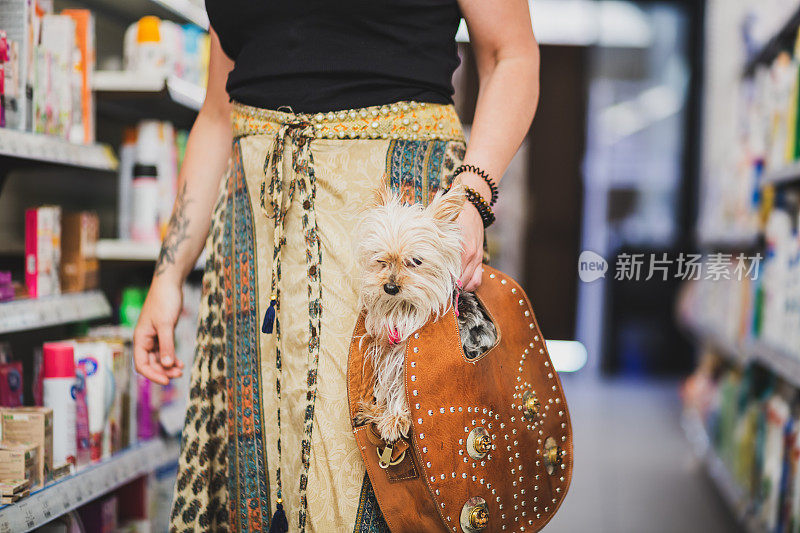 一个女人在超市买东西，袋子里放着她的小狗。消费主义的概念。