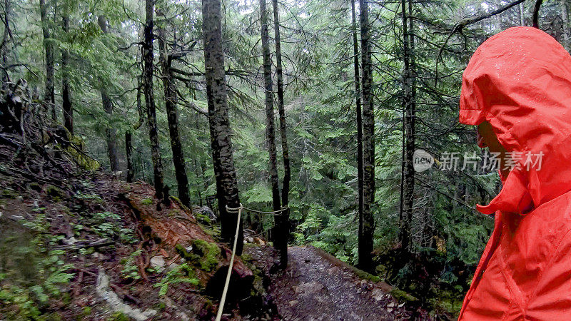 一名男性徒步旅行者在雨中沿着森林小径行走