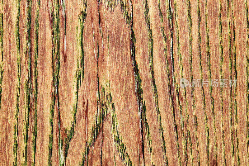 木材表面