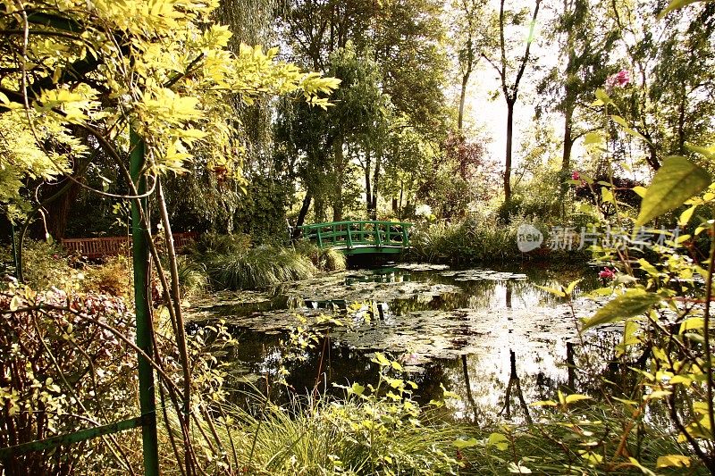 莫奈的《吉凡尼花园里的睡莲池》