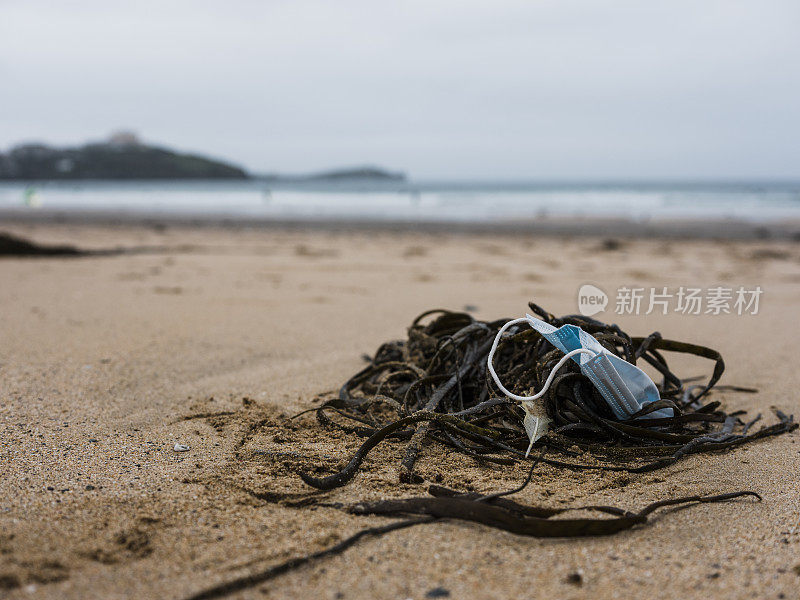 弃置的一次性冠状病毒口罩被海滩上的海藻缠住。