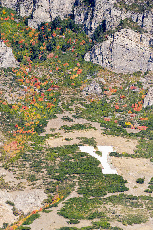 犹他州普罗沃东部Y山变化的树木的美丽颜色