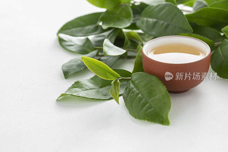 一心二叶的新鲜茶叶中的中国茶