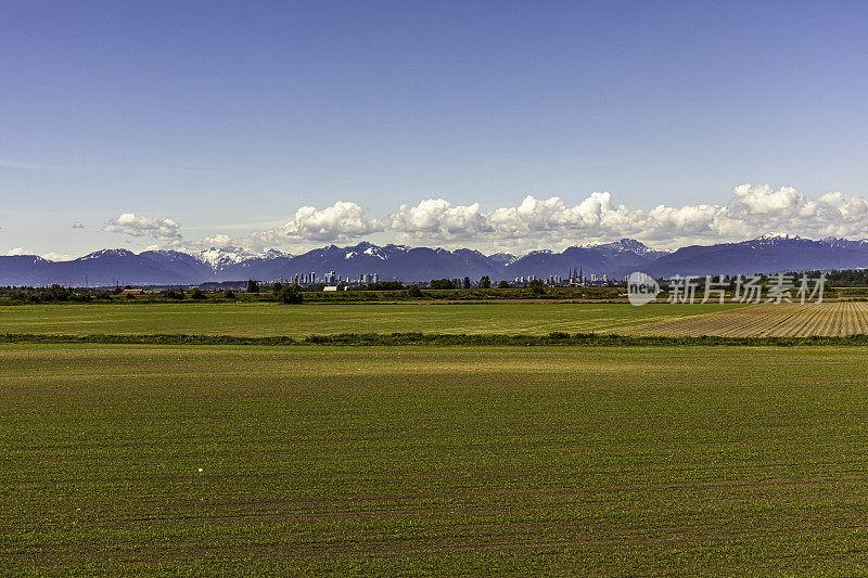 农场景观，三角洲，bc，加拿大