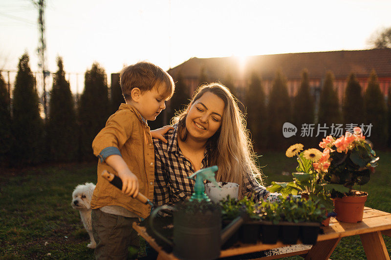 年轻的母亲和她的孩子们一起在花园里种花