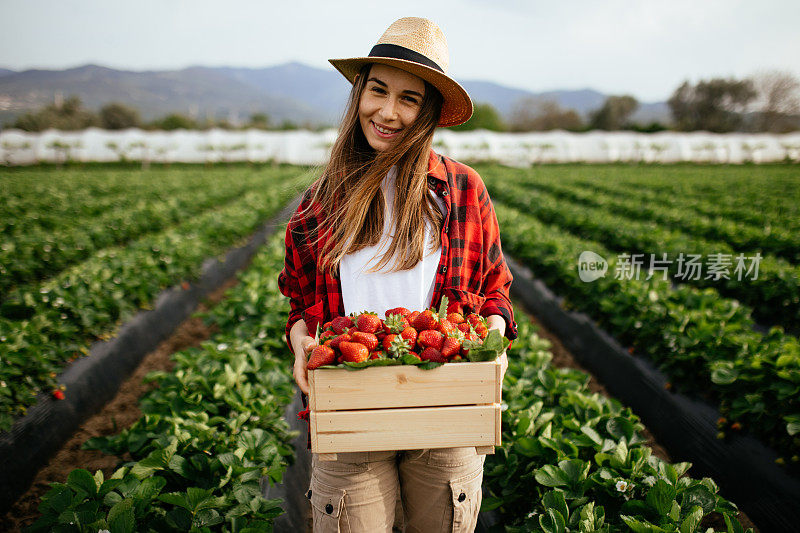 年轻漂亮的女人拿着一个装满草莓的篮子