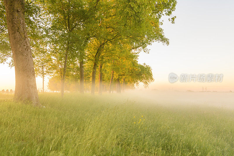 美丽的春天清晨，在坎彭附近的兹瓦滕迪克日出