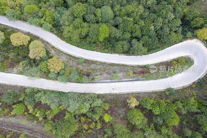 蜿蜒的道路。穿过森林的田园诗般的蜿蜒道路