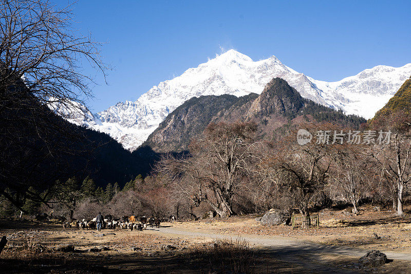 日出时的美丽雪山