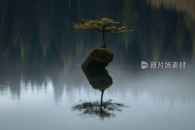 童话湖上的涟漪