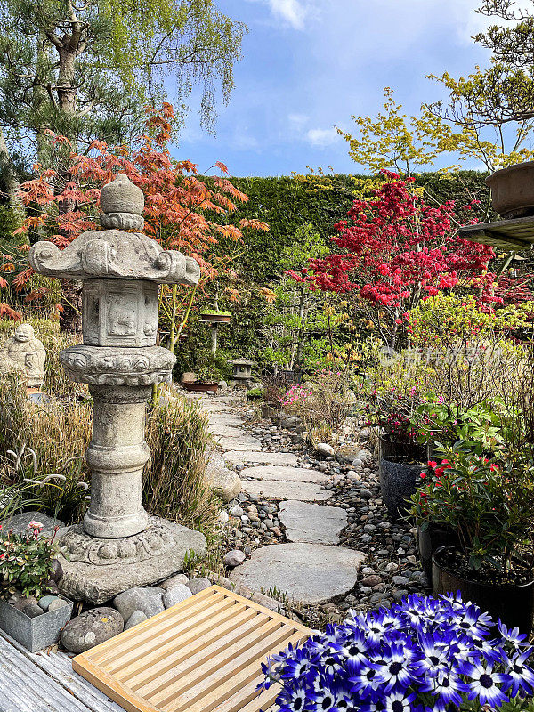 日本元素的花园中的踏脚石路径图像，以花岗岩灯笼、竹子、鹅卵石、盆景和日本枫树(槭树)为特色