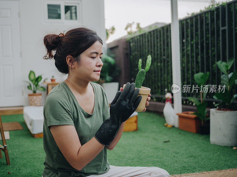 妇女种植树木。