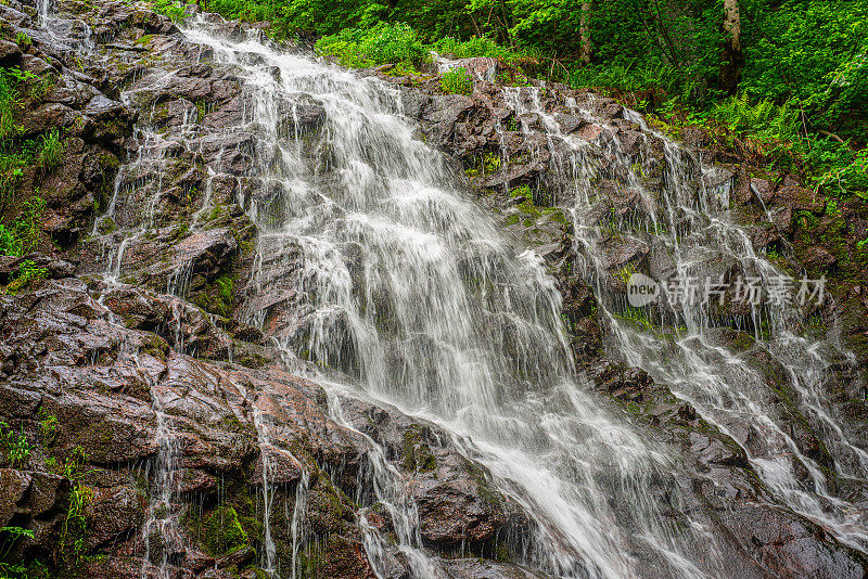皮尔斯基瀑布瀑布般倾泻而下，苍翠的青苔覆盖在老山的森林里