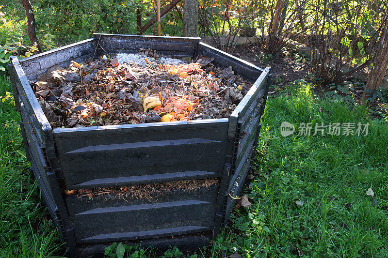 花园堆肥箱装满了食物残渣和植物废料