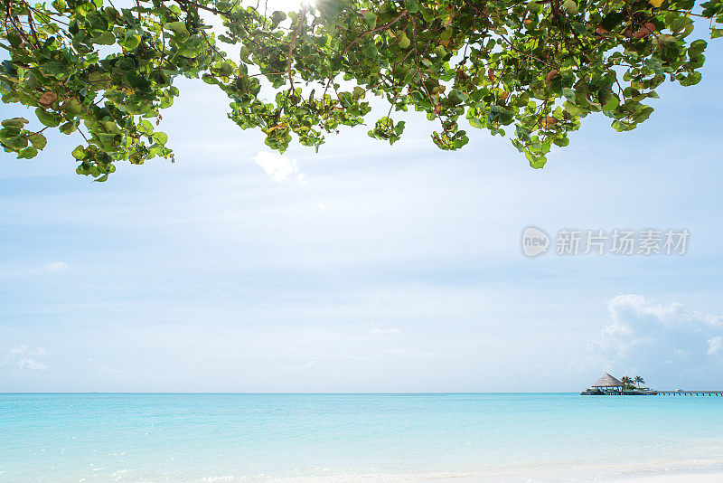 热带海滩复制空间场景