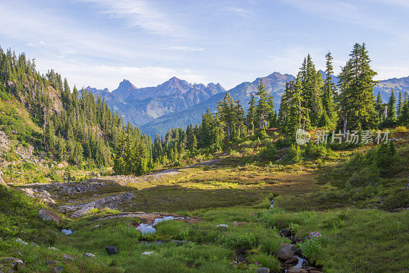 贝克山休闲区希瑟草地的风景