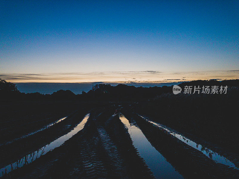 雨后的田野上有雨水和拖拉机的履带。