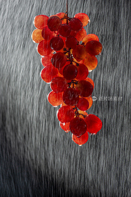 一串被雨水侵蚀的紫葡萄