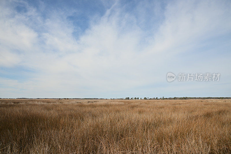 迪尔岛马里兰州冬季景观