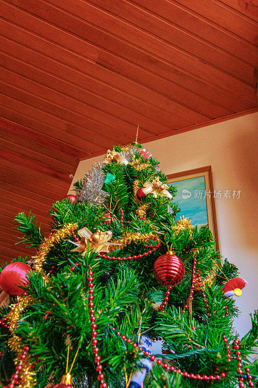 哥伦比亚公寓的客厅里有一棵几乎装饰完毕的人造圣诞树