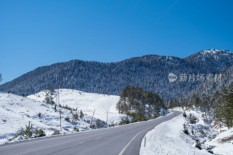 清晨，山上长满了树木，铺满了白雪，铺满了道路，道路自然景观