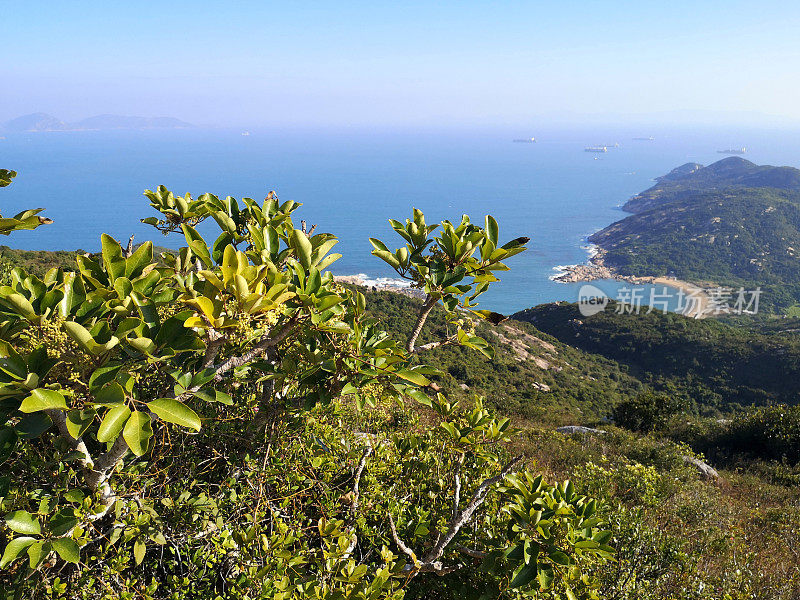 从香港南丫岛岭角山俯瞰全景