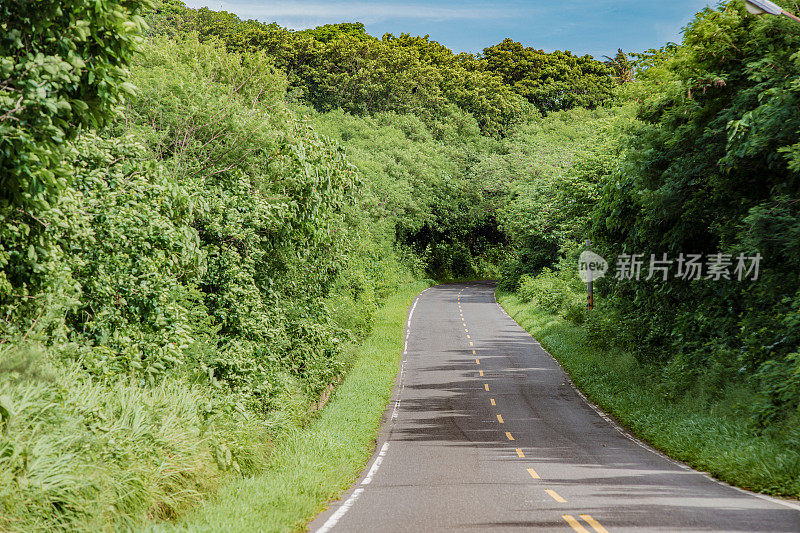 蜿蜒的海岸公路