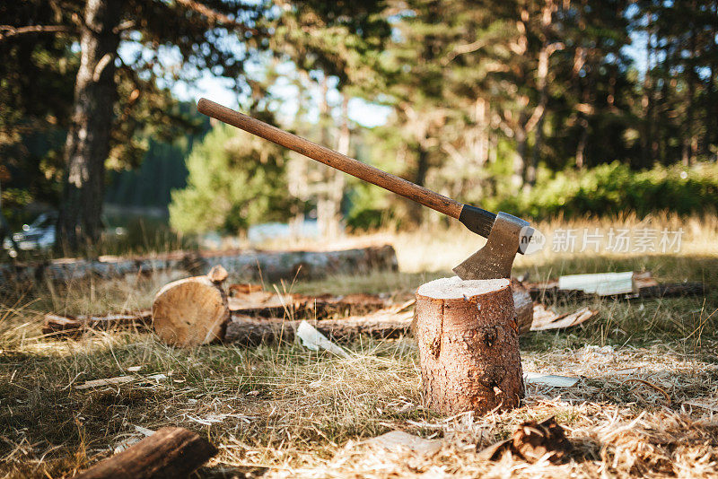 一把斧子卡在一块木头上了