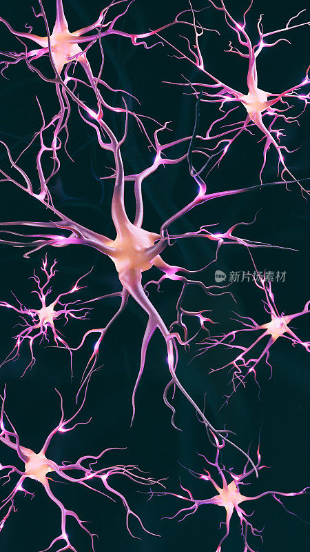 神经细胞图像的三维渲染