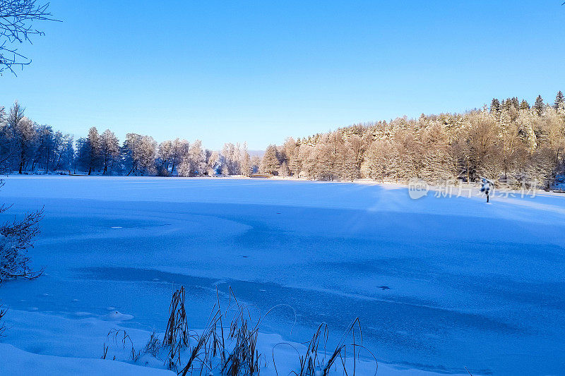 城市公园里被霜覆盖的树木和湖面上的冰。芬兰冬季景观。