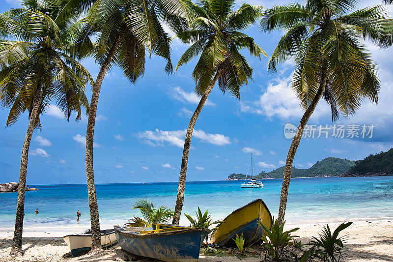 塞舌尔马埃岛塔卡马卡海滩附近的椰子树和船只