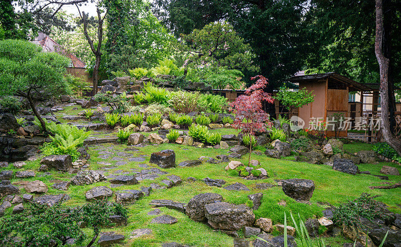 维也纳的日式花园(植物园内)和小溪边的岩石