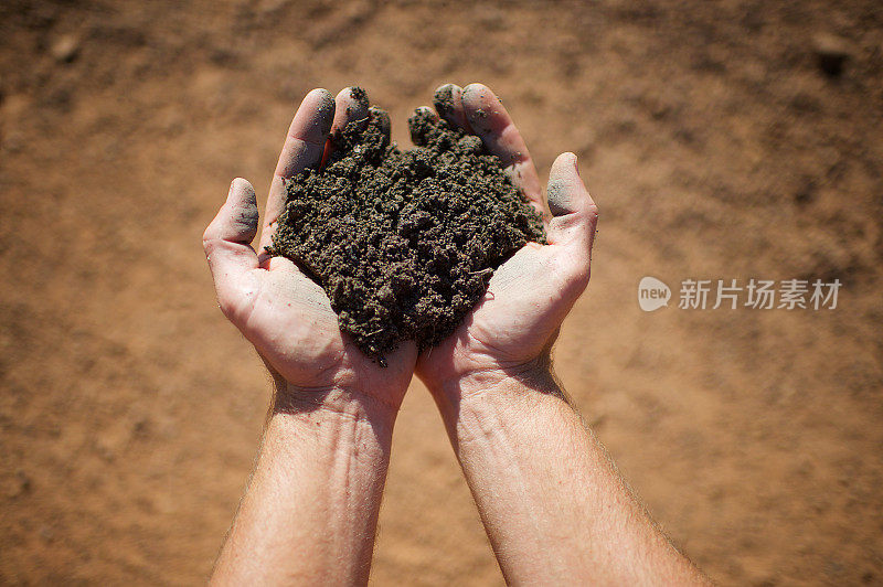 男性双手捧着泥土在地面上个人视角