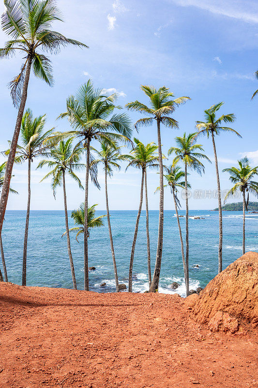 著名的椰子树山在米丽莎，斯里兰卡海滩旁边的印度洋