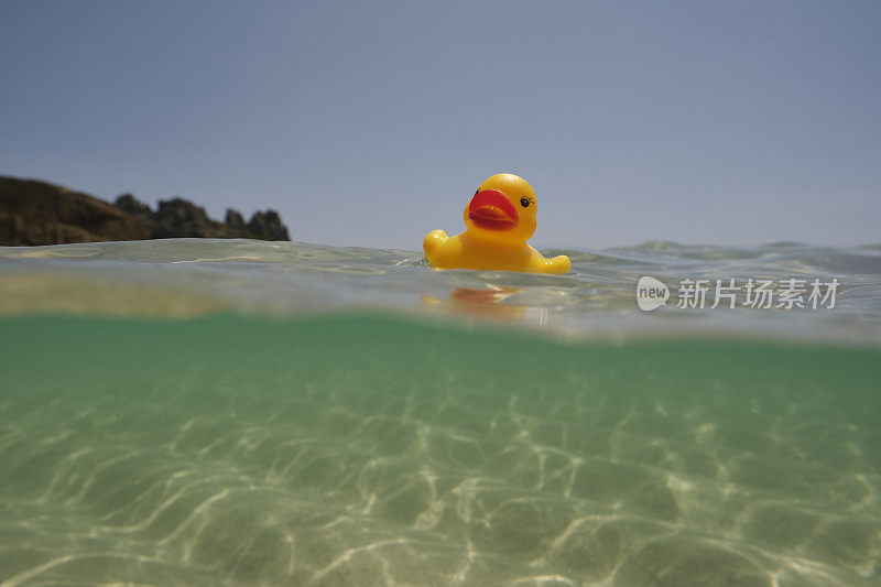 一个阳光明媚的夏日，在康沃尔郡的佩顿温德海滩，橡皮鸭漂浮在清澈的蓝色大海上。
