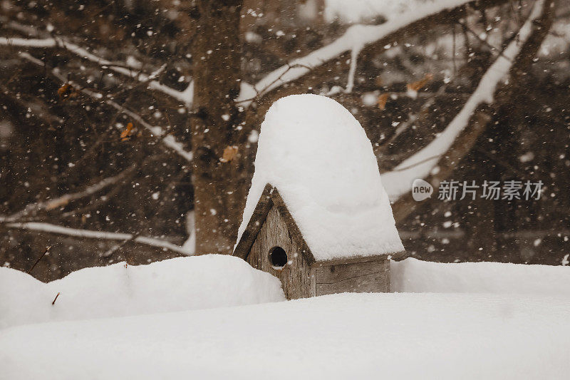 雪中的鸟屋