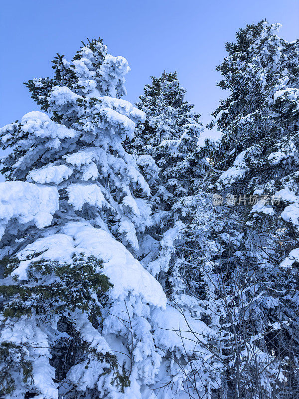 无人机拍摄的雪山鸟瞰图