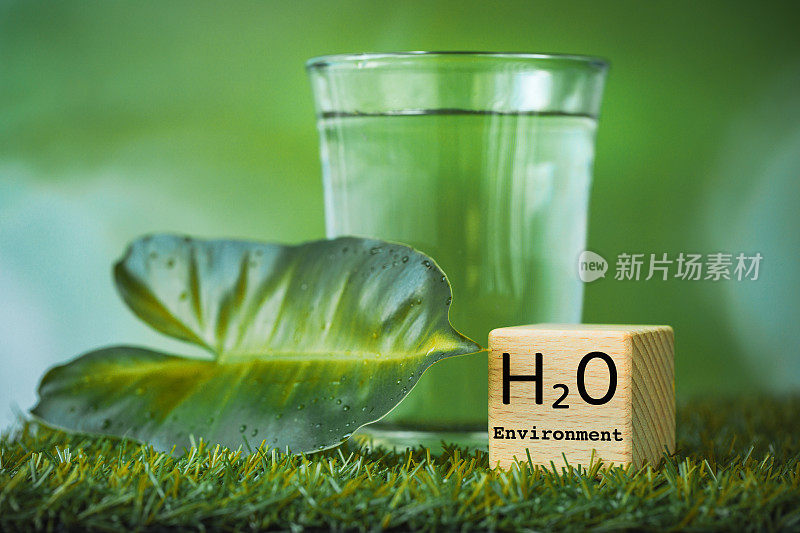 水，水对地球上的环境和生命的影响，环境科学概念，绿色植物中的水，带有h2o符号的木块