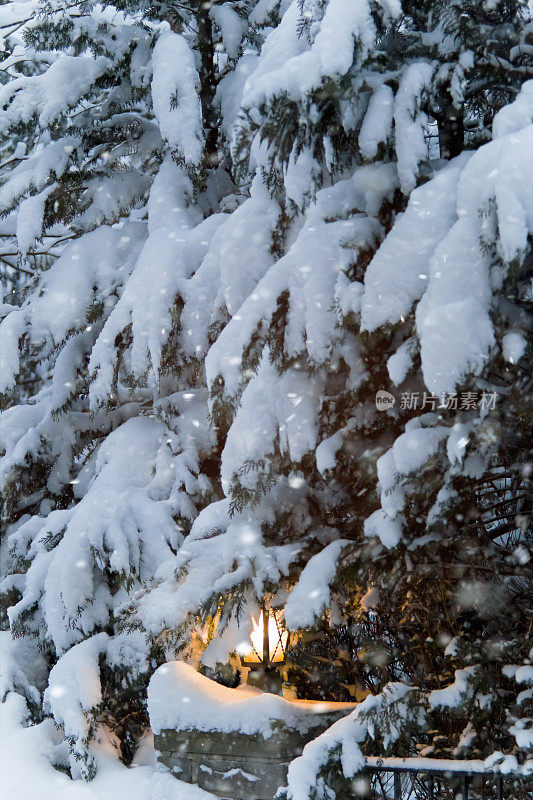 白雪覆盖的花园墙上挂着灯笼