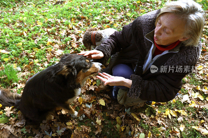 一位年长妇女和她的狗的肖像