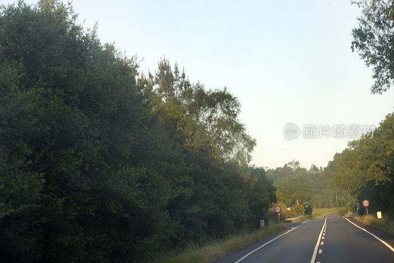 乡村道路和森林。