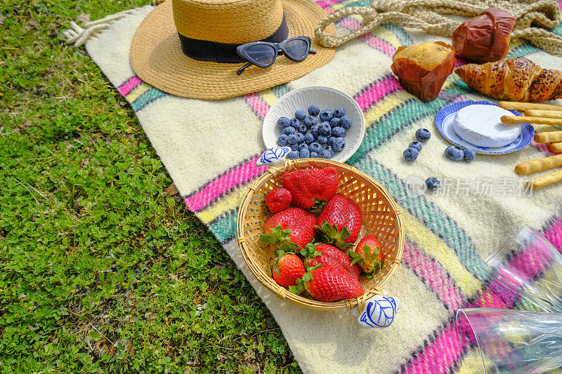 静物熟透草莓在盘子横跨草帽，太阳眼镜，空杯子，和食物在方格格子在草地上。夏天在公园野餐。本空间