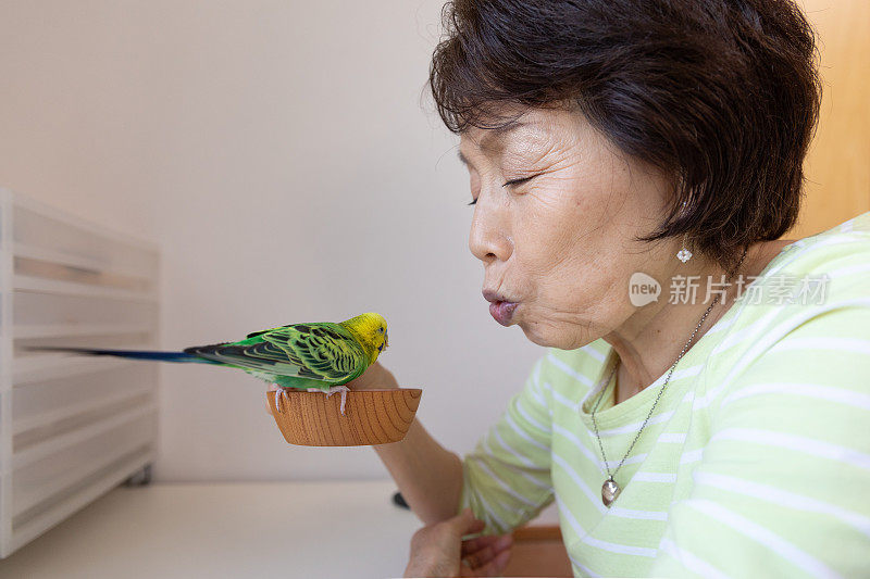 老女人和宠物鸟玩